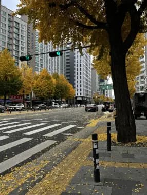 Photo sample - street scene